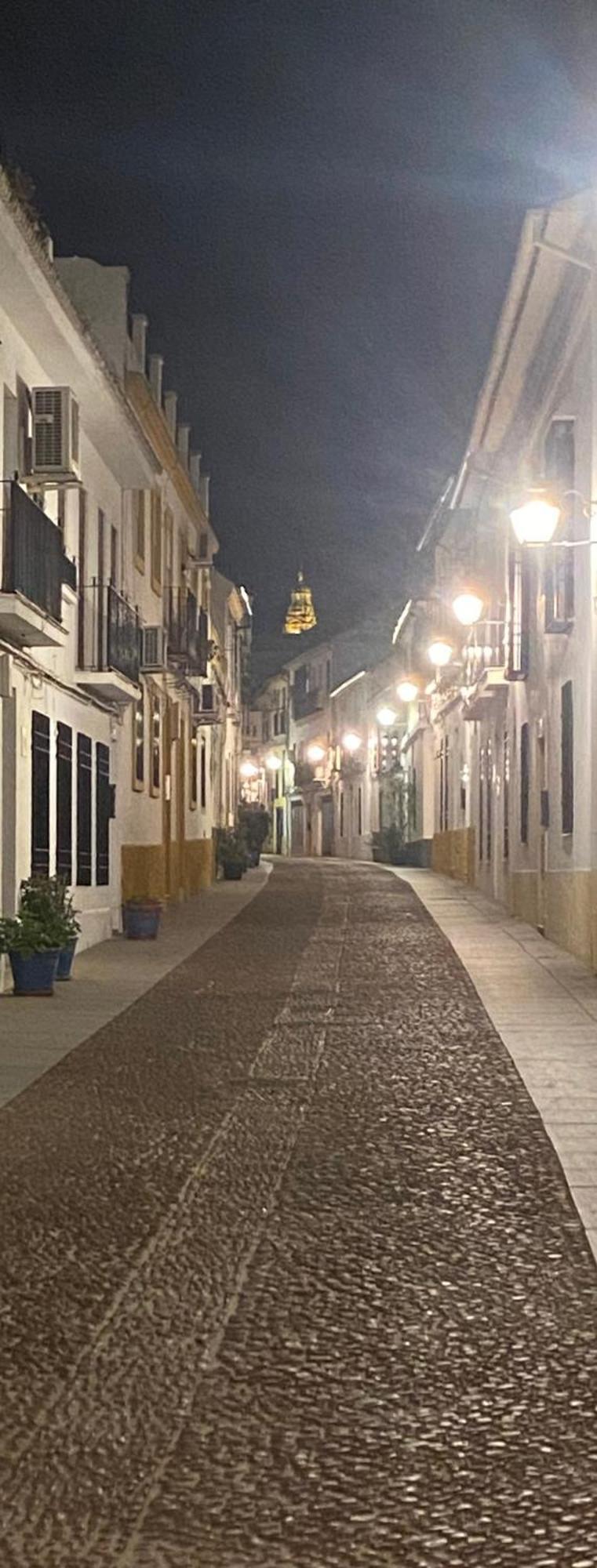 Enmitatiko Alcazar Viejo Apartment Kordoba Bagian luar foto