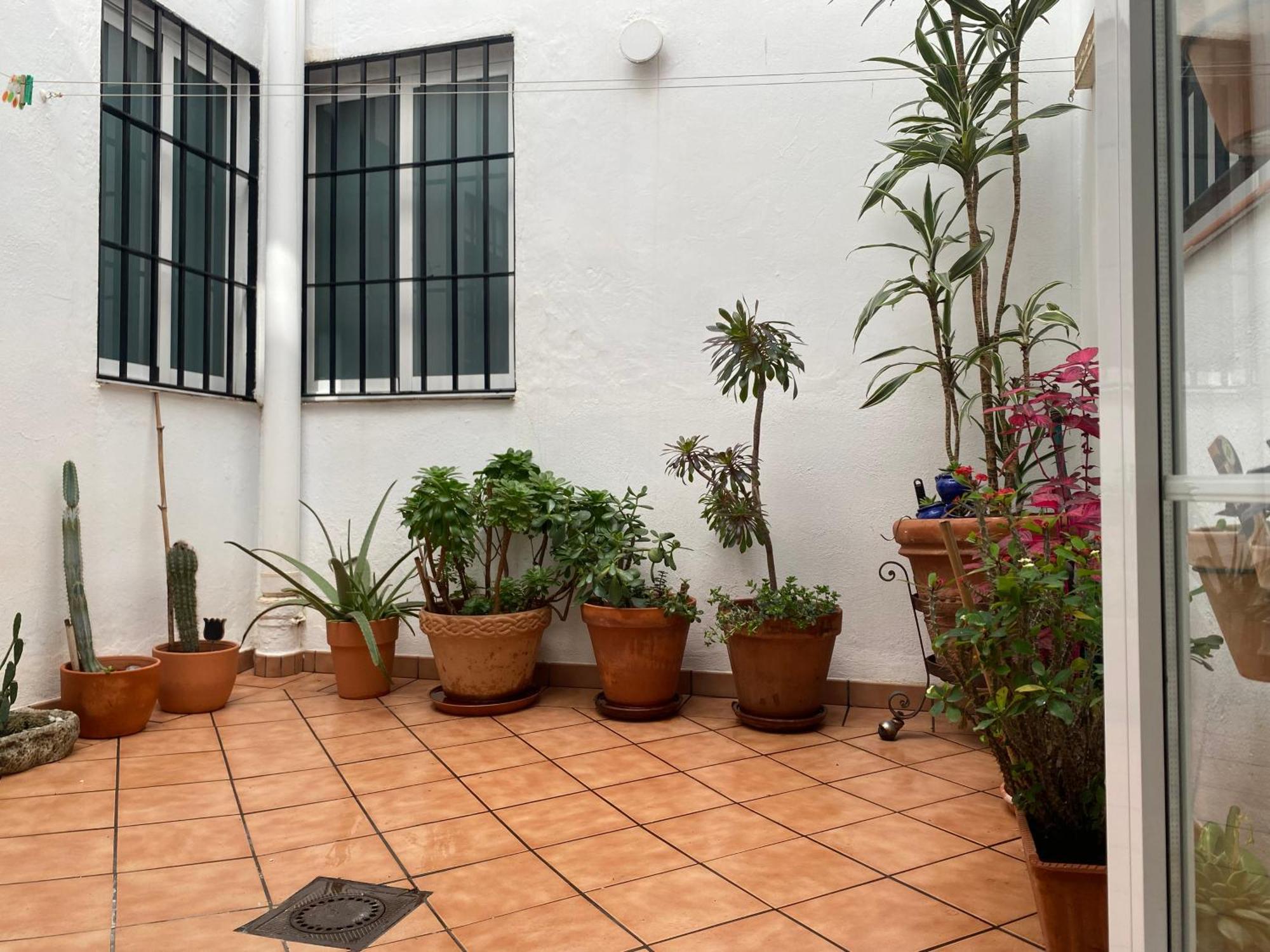 Enmitatiko Alcazar Viejo Apartment Kordoba Bagian luar foto