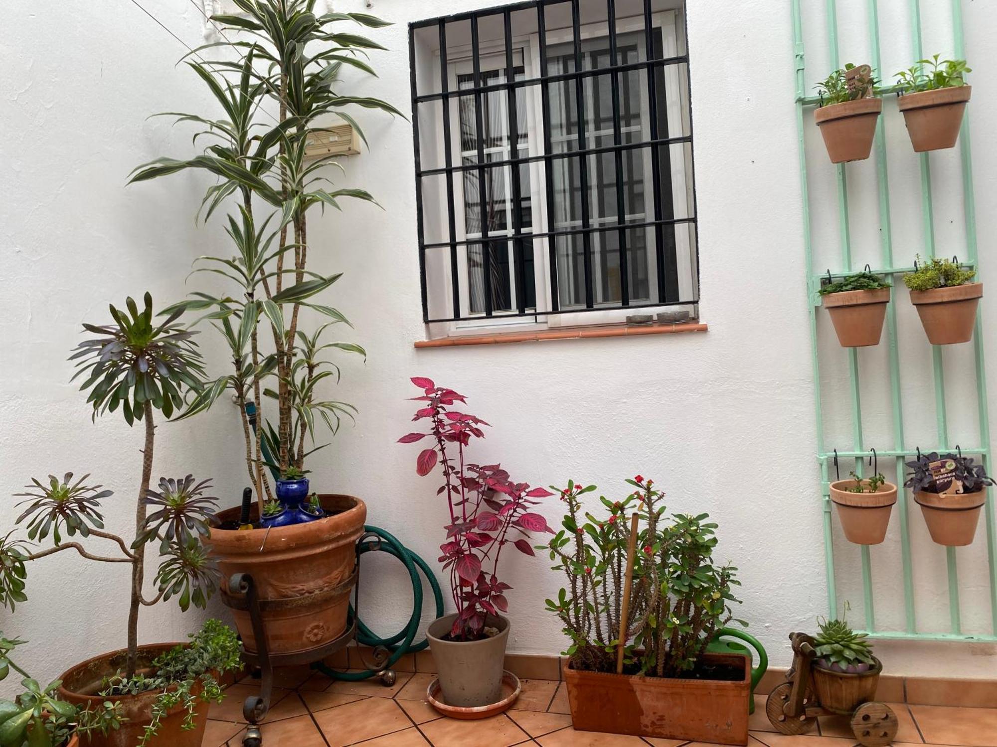Enmitatiko Alcazar Viejo Apartment Kordoba Bagian luar foto
